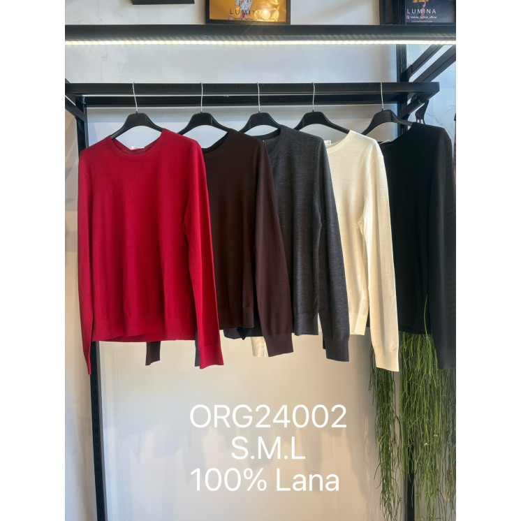 ORG24002