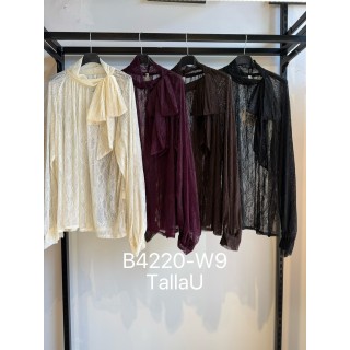 B4220-W9