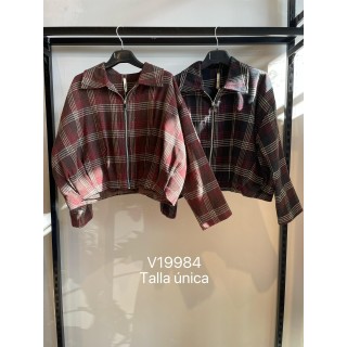 V19984