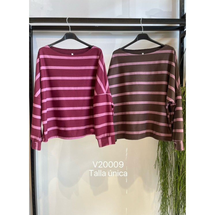 V20009